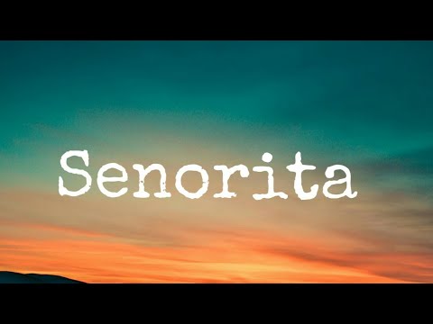 shawn-mendes,-camila-cabello---señorita-(lyrics)