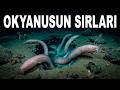 Okyanus Tabanının %95’i Neden Hâlâ Bir Gizem?