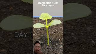 #fishing #gardening #garden #food #goat #frostbites #cooking #frezzerfrost #mukbang #cow #eating