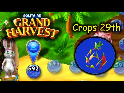 SGH E592 ~ 596 = 29th Crop section begins!!! (Solitaire Grand Harvest)