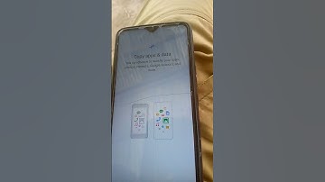 copy can choose to transef