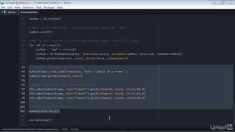 001 Arranging several labels within a label frame #Tkinter