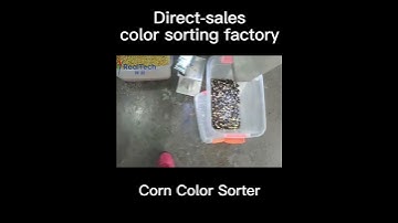 mini corn color sorting machine grain color sorter