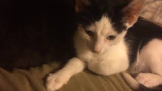 Img 0558 1
