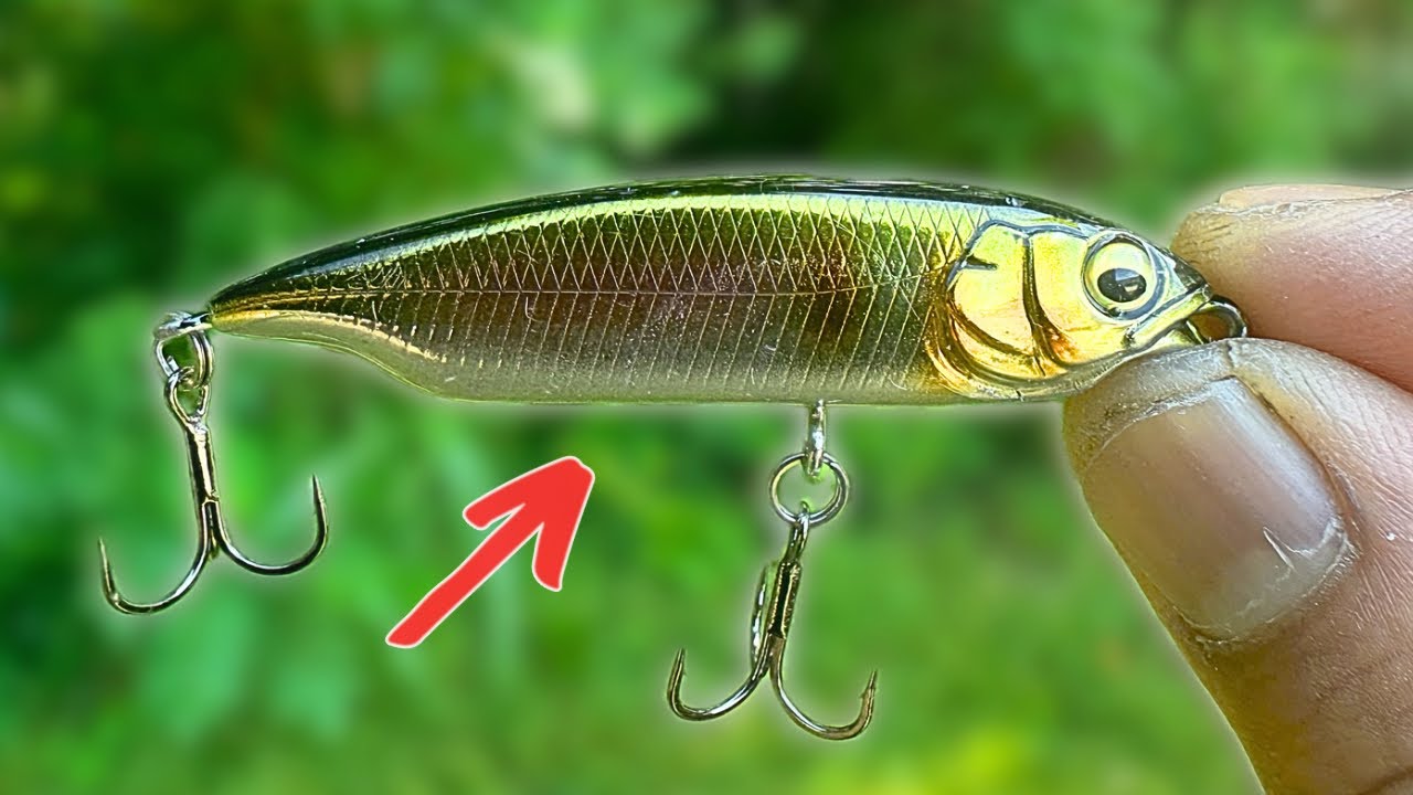 MEGABASS KARASHI (knockoff)  || Bfs Fishing