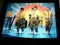 Los gatos bravos - el sambunango teleño