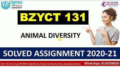 BZYCT 131 Solved Assignment 2020-21 | ANIMAL DIVERSITY | IGNOU Solved Assignment