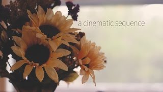 a cinematic sequence