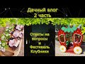 Дача2: ваши вопросы, фест клубники, тихая ночь и готовка