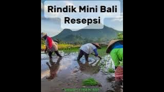 Rindik Bali mini//Non stop 1 jam//Pilihan cocok untuk Resepsi//Rindik Penyejuk Hati