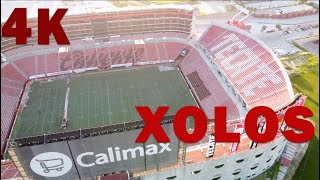 XOLOS ESTADIO CALIENTE | CLUB TIJUANA XOLOITZCUINTLES | 8K | 4K | #2