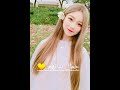 الفرق بين كوريا و سوريا 