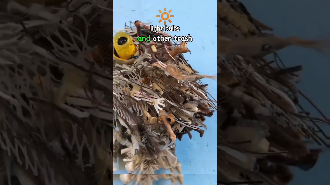 Unbelievable Art from Trash 📸@tdeininger IG