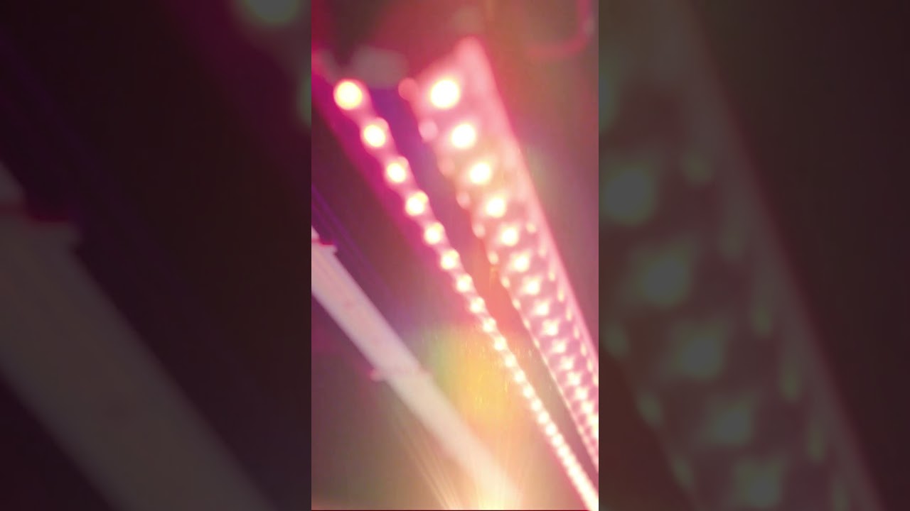 LUMATEK EU | 50W FAR-RED LED BAR 