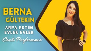 Berna Gültekin - Arpa Ektim Evlek Evlek (CANLI PERFORMANS)