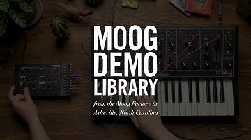 Werkstatt-01 | Envelope Modulated LFO
