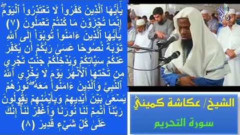 سورة التحريم القارئ عكاشة كميني