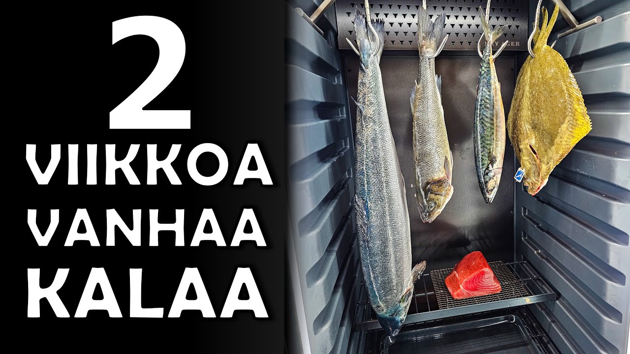 Dry Age Kypsytin LOHTA 14 PÄIVÄÄ ja Söin Sen!