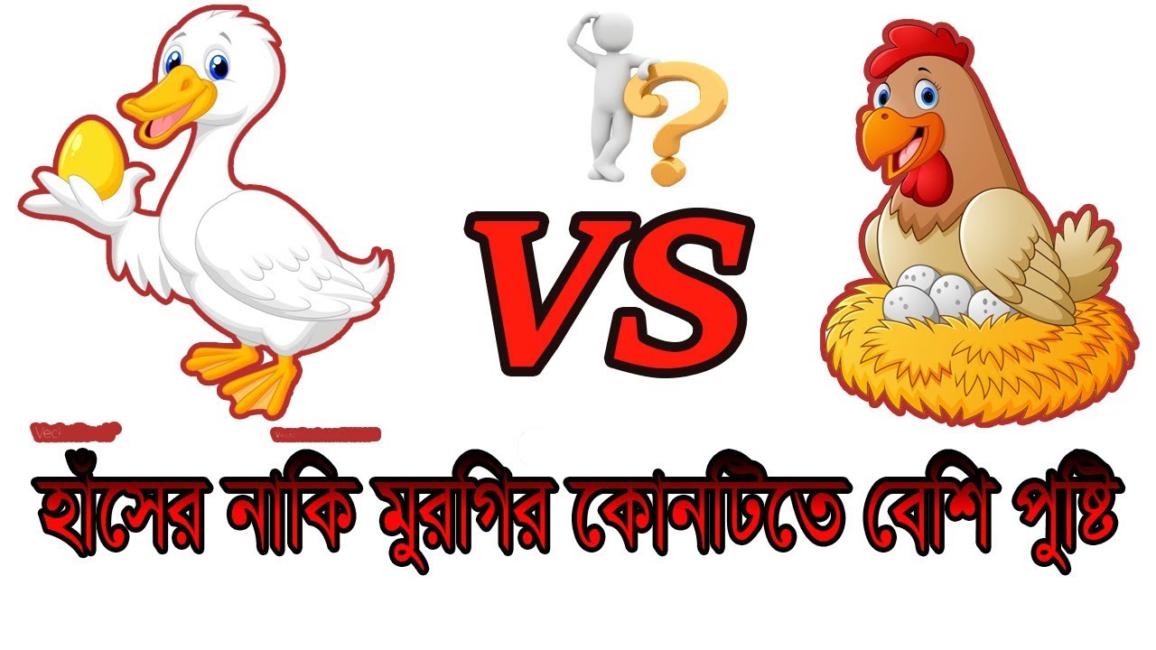 হাঁসের ডিম না মুরগি, পুষ্টিতে কোনটি এগিয়ে? Ducks Egg VS Hens Egg Which is Better? - YouTube