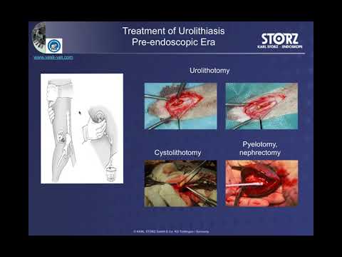 Видео: Аномалии диафиза уретры у собак