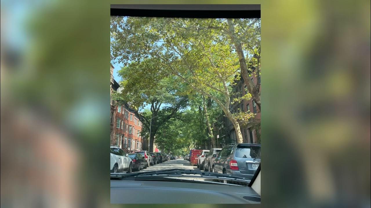 Harness your hopes Sped up YouTube