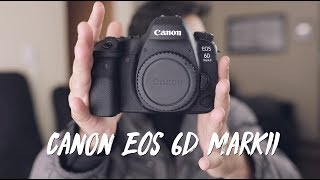 Canon 6D MarkII - Review