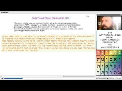 TORAT HANEFESH 5777 TORAT HANEFESH 5777