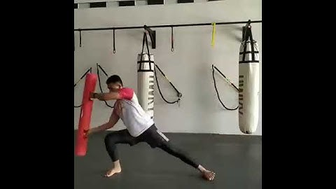 Vipr exercise, Vipr strength & movement training #1