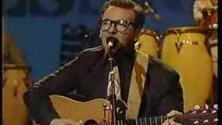 Watch Elvis Costello Little Palaces video