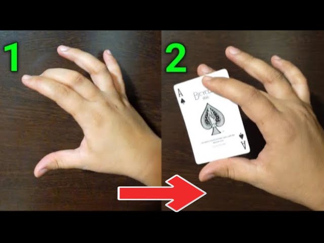 Easy Magic Tricks to Amaze Your Audience: How to Learn Magic, by  Healthifashion, Nov, 2023