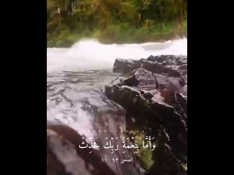 آية قرآنية من سورة الضحى قرآن كريم حالات واتس اب قصيرة Quran 