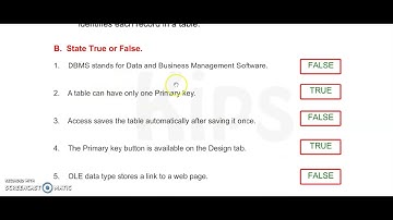 Worksheet of ch 4 MS Access Tables class 8