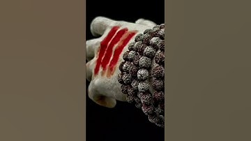 Bolo Har Har Mahadev Status