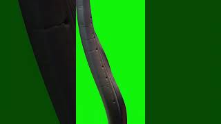 Electric Eel Green Screen Effect