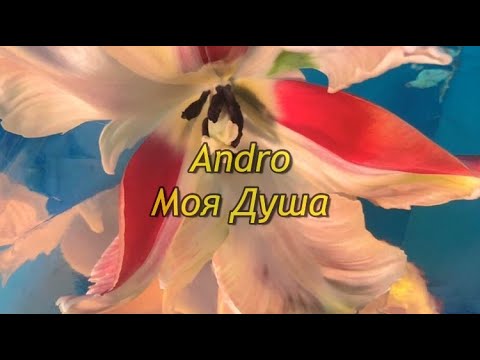 Andro – Моя душа (lyrics)