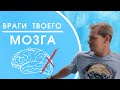 Как убить свой мозг | Тут про врагов твоего мозга