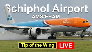 Download Lagu 🔴 LIVE Amsterdam Schiphol Airport #50 - 28/11/2025 (ENG/NL) MP3