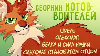 Сборник Котов-Воителей