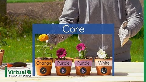 Grade 1 Math: Creating a Pattern (Part 2 of 2)