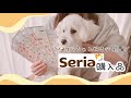 【100均購入品】新作Seriaの犬グッズが可愛すぎた🐶🤍