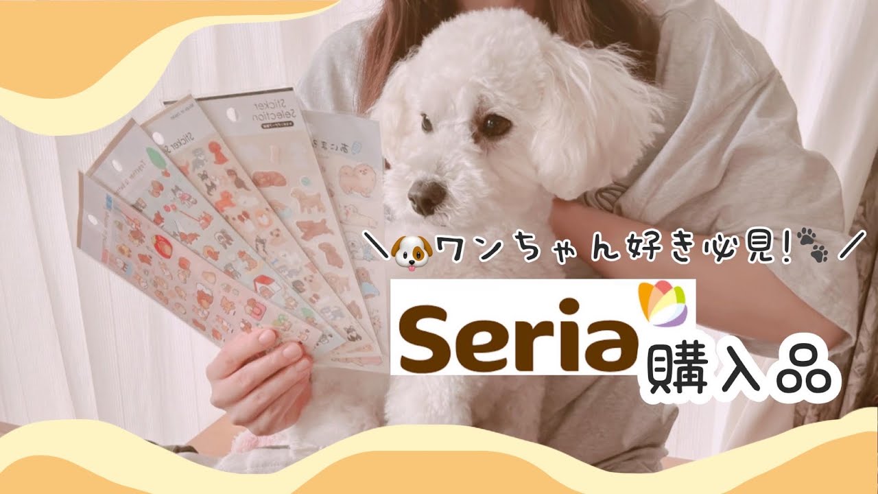 【100均購入品】新作Seriaの犬グッズが可愛すぎた🐶🤍