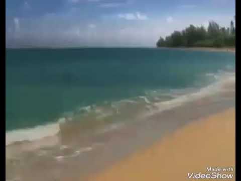 رعد الكردي سورة الكهف وإذ قال موسى لفتاه لا أبرح