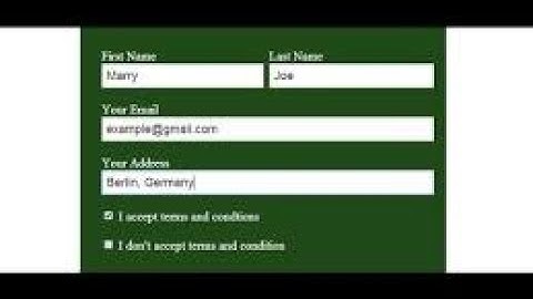 HTML form with input type checkbox  HTML and CSS