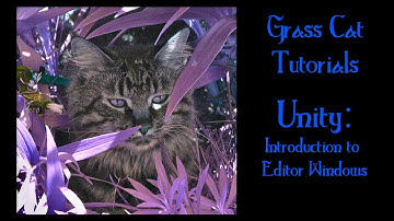 Unity 2020.2 - Introduction to Editor Windows