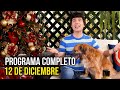 Cinescape 12 de diciembre (Programa completo)