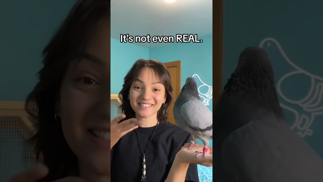 birds aren't real 