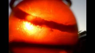 Annular Eclipse 2012