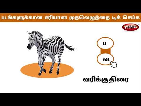 படங்களுக்கான சரியான முதலெழுத்தை டிக் செய்க - Part 2 - அடிப்படைத் தமிழ் | Learn Basic Tamil words