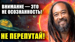 Ты больше не сможешь сказать: "Я потерял осознанность." Муджи