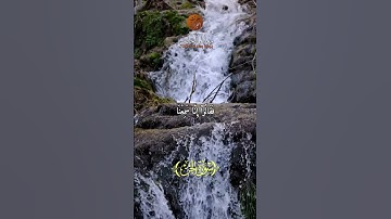 ما تيسر من سورة الجن | تلاوة مؤثرة بصوت معاذ الخلطي 📖🌙#تلاوة_القرآن #تلاوات_مؤثرة #القرآن_الكريم